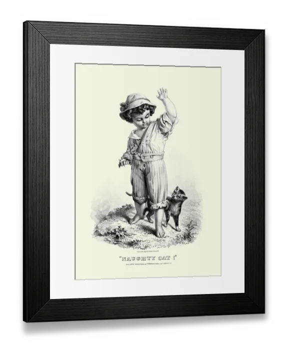 Framed Print : Naughty cat! Framed Print : Naughty cat!