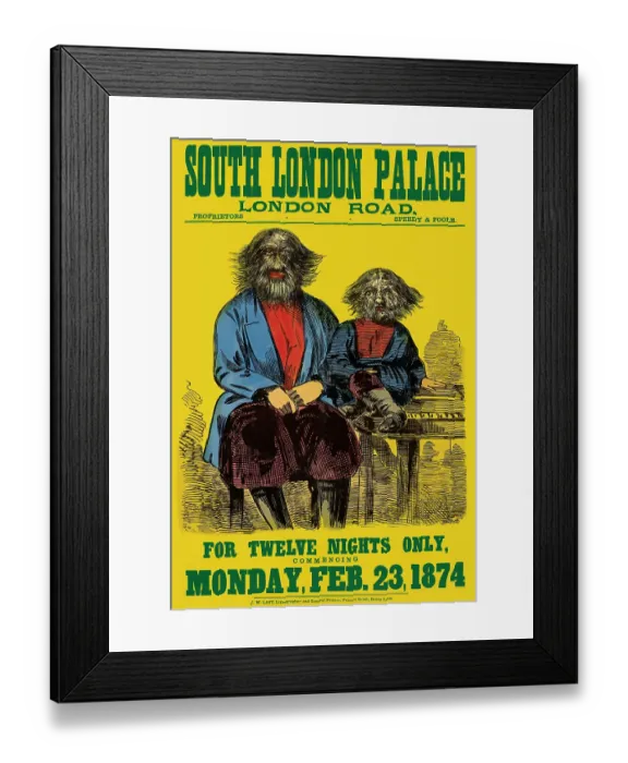 Framed Print : For Twelve Nights Only