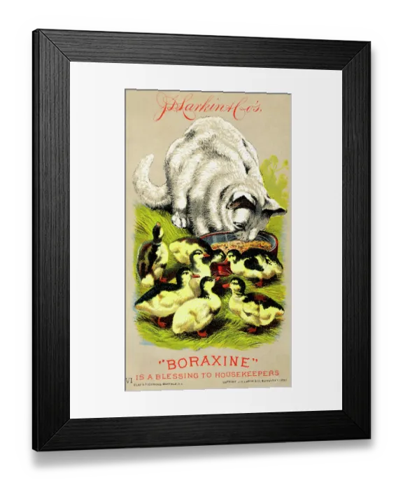Framed Print : Boraxine is a blessing to housekeepers Framed Print : Boraxine is a blessing to housekeepers