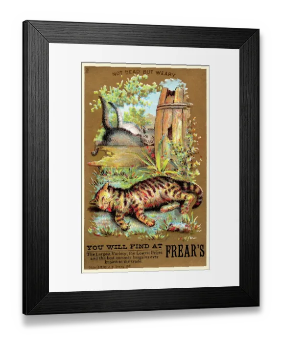 Framed Print : Not dead but weary Framed Print : Not dead but weary