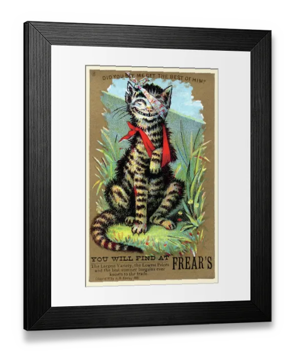 Framed Print : Did you see me get the best of him? Framed Print : Did you see me get the best of him?