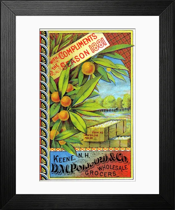 Framed Print : D.M. Pollard & Co Wholesale Grocers Framed Print : D.M. Pollard & Co Wholesale Grocers