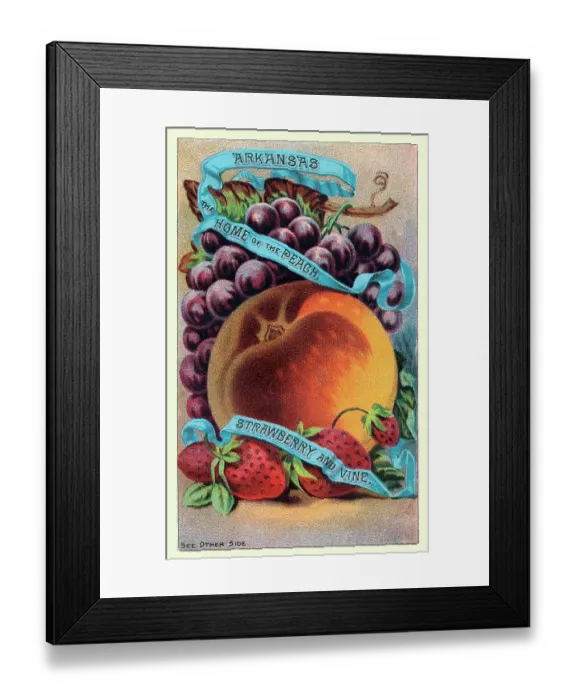 Framed Print : Arkansas, the home of the peach, strawberry and vine Framed Print : Arkansas, the home of the peach, strawberry and vine