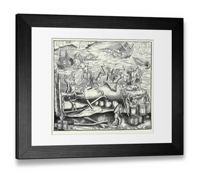 Framed Print : Whale Fishing Framed Print : Whale Fishing