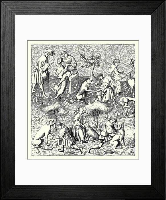 Framed Print : Diseases of Dogs and their Cure Framed Print : Diseases of Dogs and their Cure