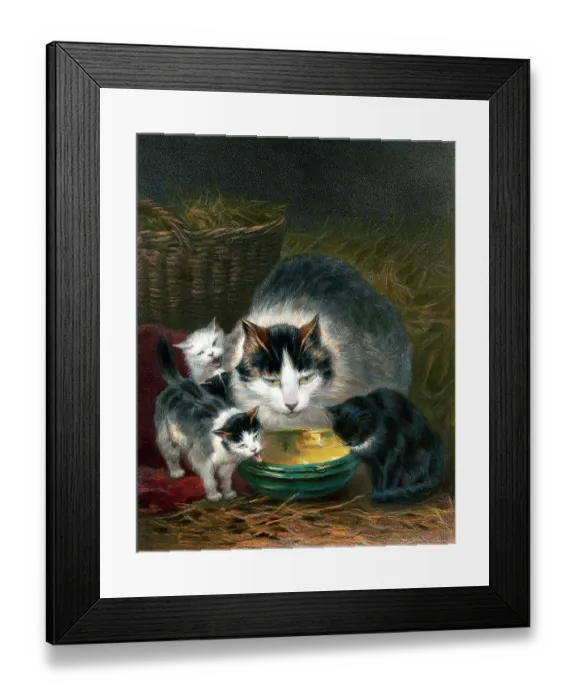 Framed Print : Cat and kittens Framed Print : Cat and kittens