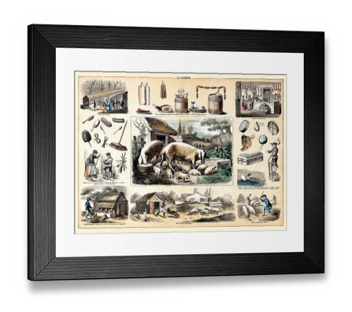 Framed Print : Le Cochon and Products Framed Print : Le Cochon and Products