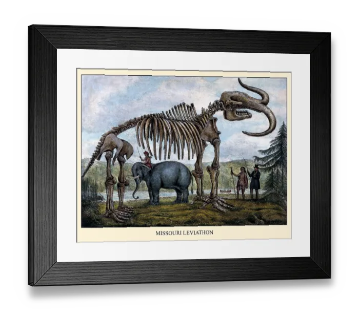 Framed Print : Missouri Leviathan Framed Print : Missouri Leviathan