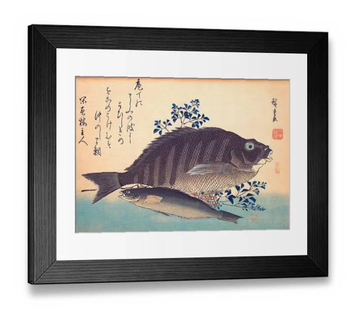 Framed Print : Shimadai and Ainame Fish Framed Print : Shimadai and Ainame Fish