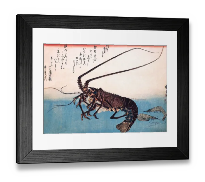 Framed Print : Spiny Lobster & Prawns
