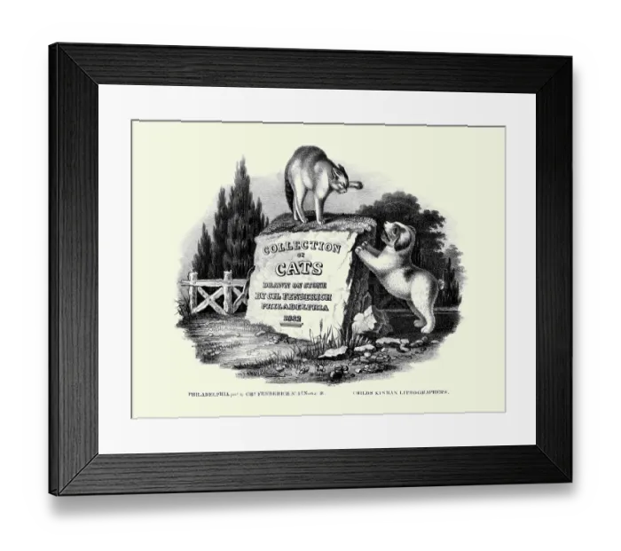 Framed Print : Collection of cats / Drawn on stone Framed Print : Collection of cats / Drawn on stone