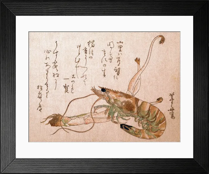 Framed Print : Shrinp & Udo Plant Framed Print : Shrinp & Udo Plant