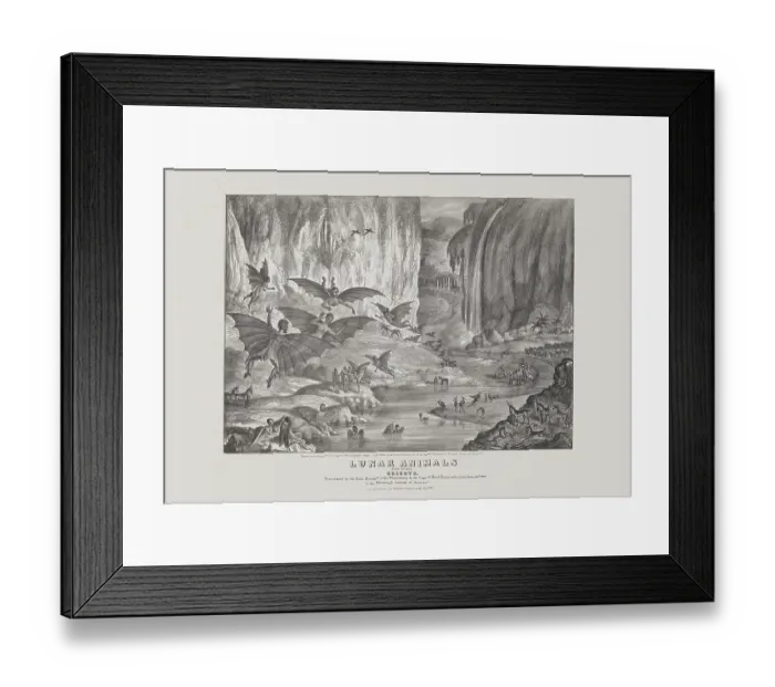 Framed Print : Lunar animals and other objects Framed Print : Lunar animals and other objects