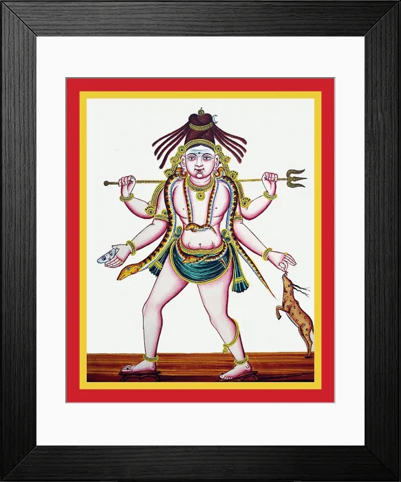 Framed Print : Shiva is feeding a gazelle Framed Print : Shiva is feeding a gazelle