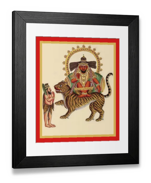 Framed Print : Munisvaram on the back of a tiger in utkutikasana Framed Print : Munisvaram on the back of a tiger in utkutikasana