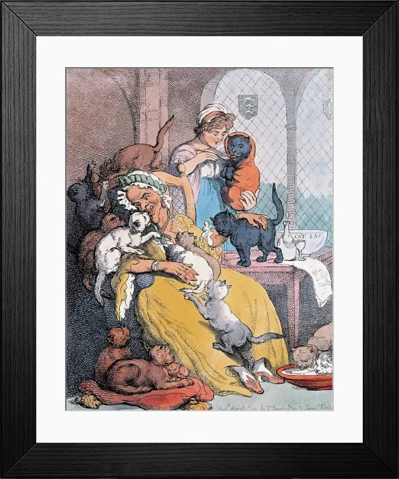 Framed Print : A catamaran : Or an old maid's nursery Framed Print : A catamaran : Or an old maid's nursery