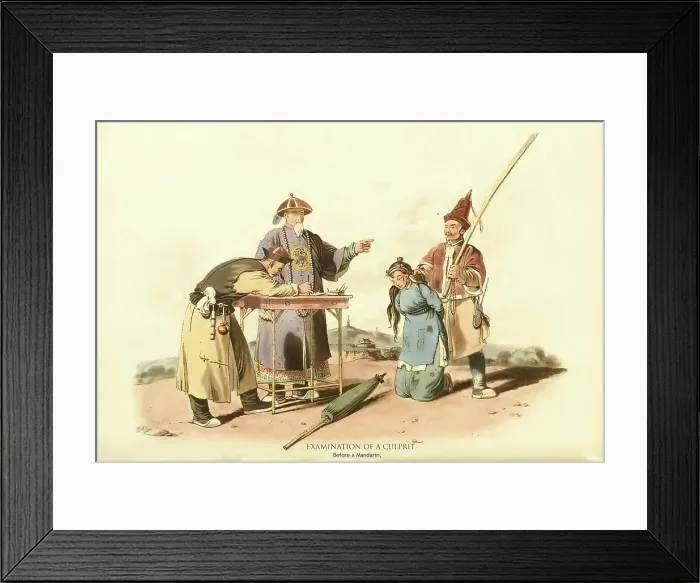 Framed Print : Examination of a Culprit