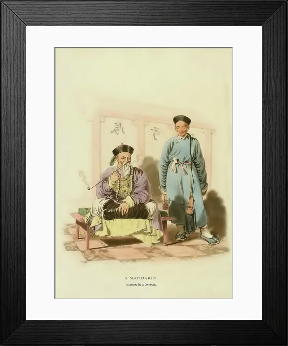 Framed Print : A Mandarin