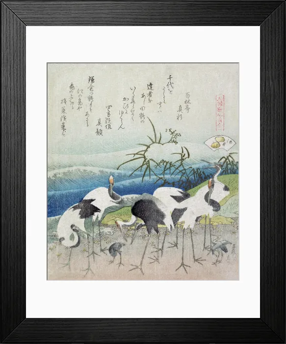 Framed Print : Cranes dig for clams Framed Print : Cranes dig for clams