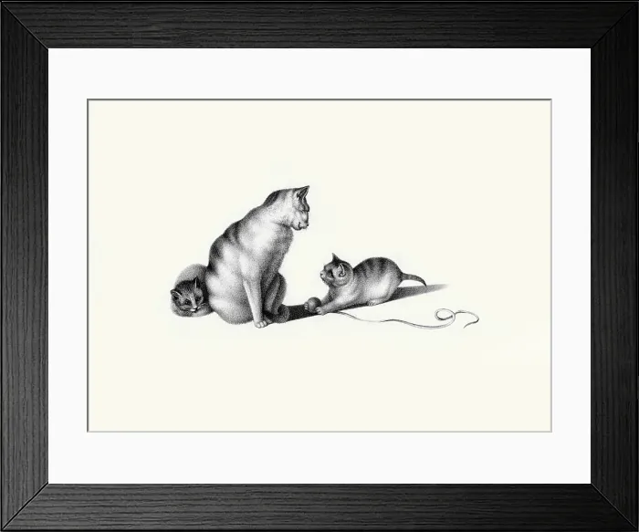 Framed Print : Playing with String Framed Print : Playing with String