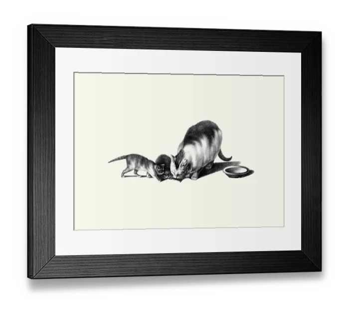 Framed Print : Is that a Mouse? Framed Print : Is that a Mouse?