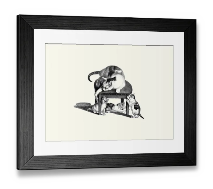 Framed Print : Cat on Stool
