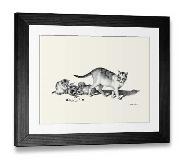 Framed Print : Three Kittens Playing Framed Print : Three Kittens Playing