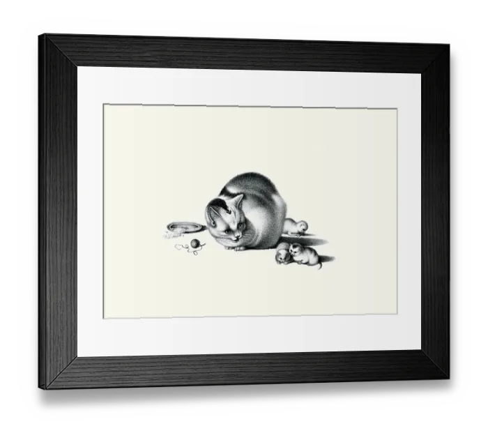 Framed Print : Cat and Kittens Framed Print : Cat and Kittens