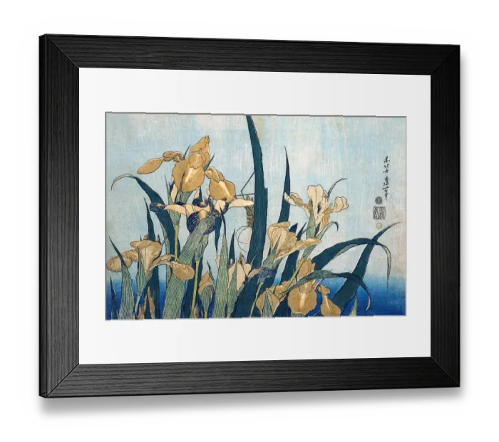 Framed Print : Grasshopper & Irises Framed Print : Grasshopper & Irises