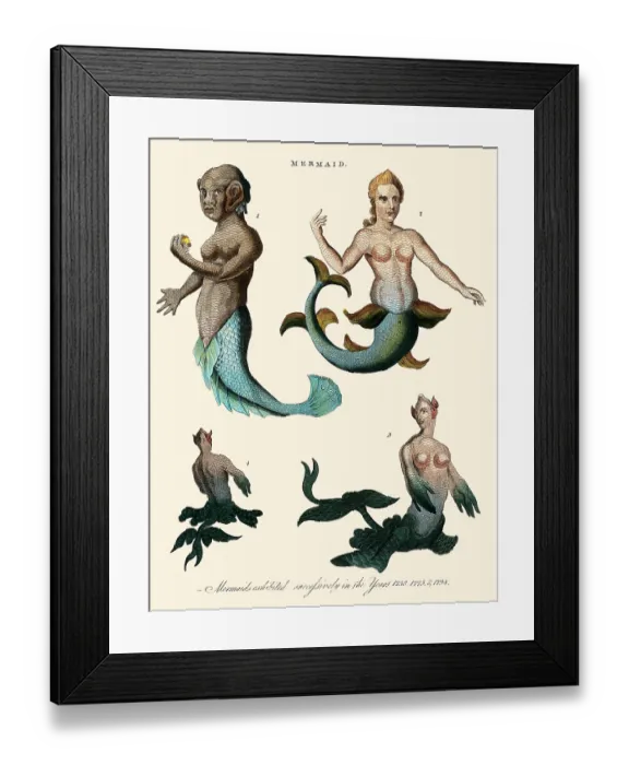 Framed Print : Three Mermaids Framed Print : Three Mermaids
