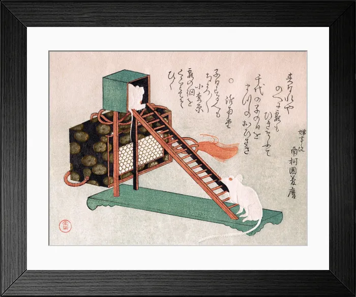 Framed Print : White Mice Playing Framed Print : White Mice Playing