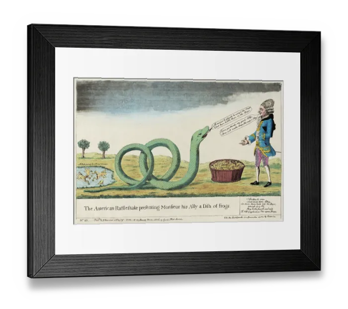 Framed Print : The American Rattlesnake Framed Print : The American Rattlesnake