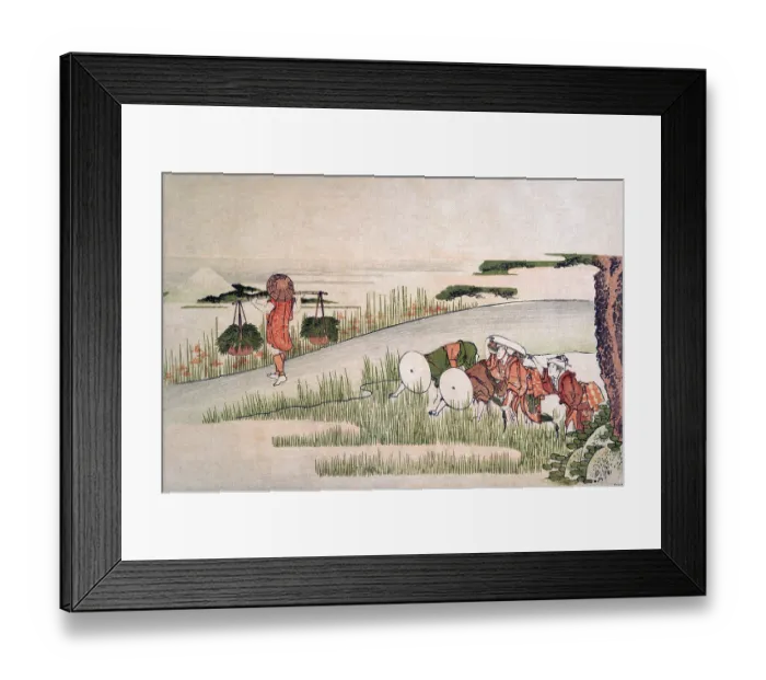 Framed Print : Spring in the Rice Fields Framed Print : Spring in the Rice Fields