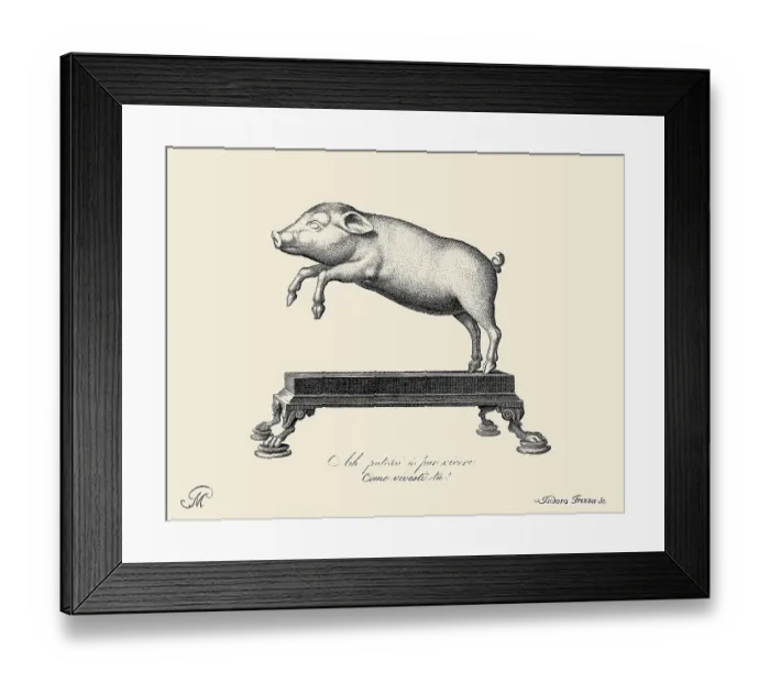 Framed Print : Lively Leaping Pig Framed Print : Lively Leaping Pig