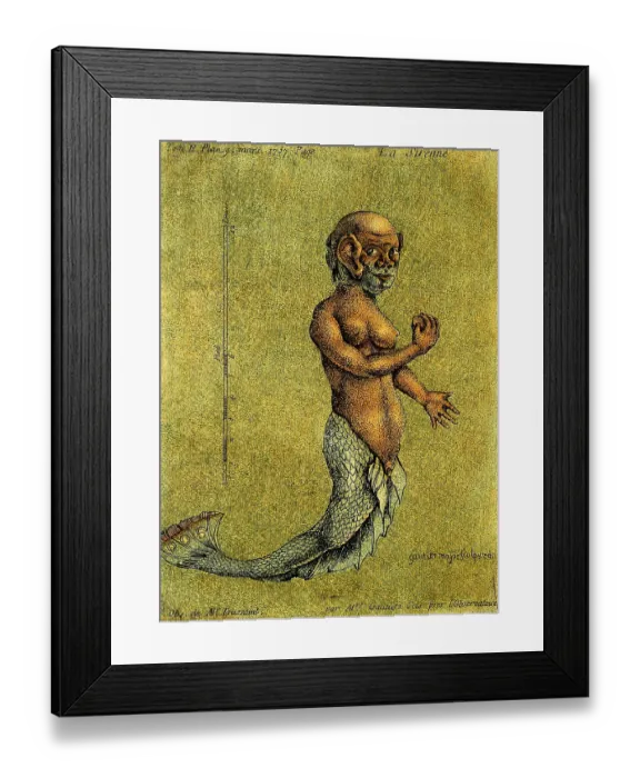 Framed Print : La sirenne. Obs. de Mr. Toussaint Framed Print : La sirenne. Obs. de Mr. Toussaint