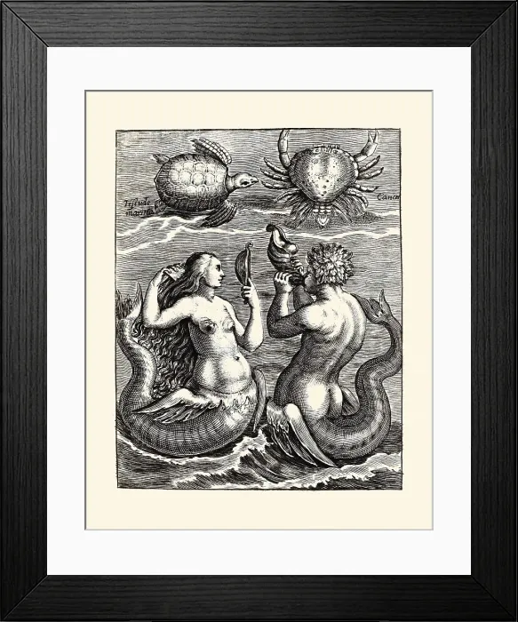 Framed Print : Schildpad, krab, zeemeermin en zeemeerman