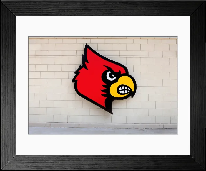 Framed Print : Louisville Cityscapes And City Views Framed Print : Louisville Cityscapes And City Views