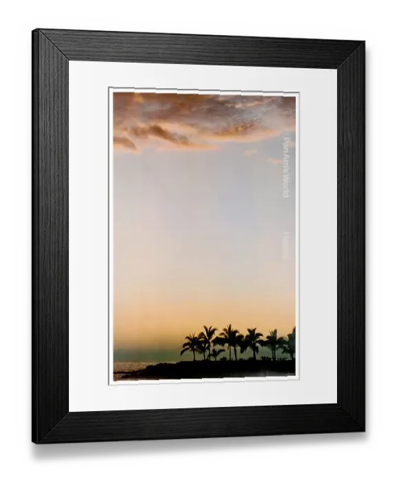 Framed Print : Pan Am Hawaiian Palms Poster Framed Print : Pan Am Hawaiian Palms Poster