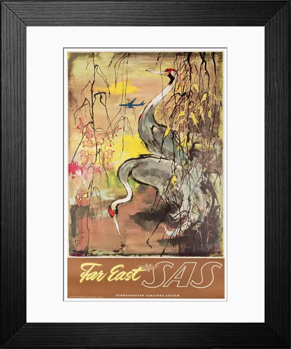 Framed Print : SAS Far Eastern Cranes Poster Framed Print : SAS Far Eastern Cranes Poster