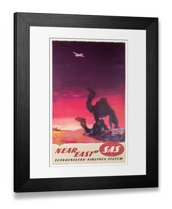 Framed Print : SAS Near Eastern Camel Poster Framed Print : SAS Near Eastern Camel Poster