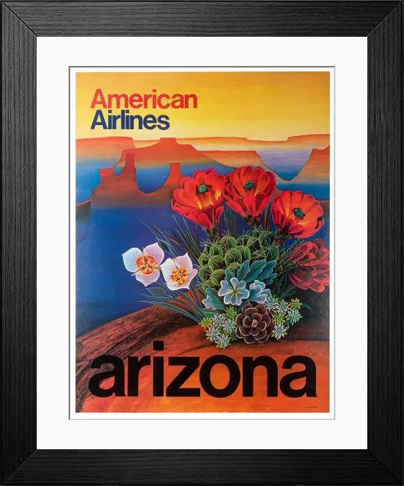 Framed Print : American Airlines Arizona Poster Framed Print : American Airlines Arizona Poster