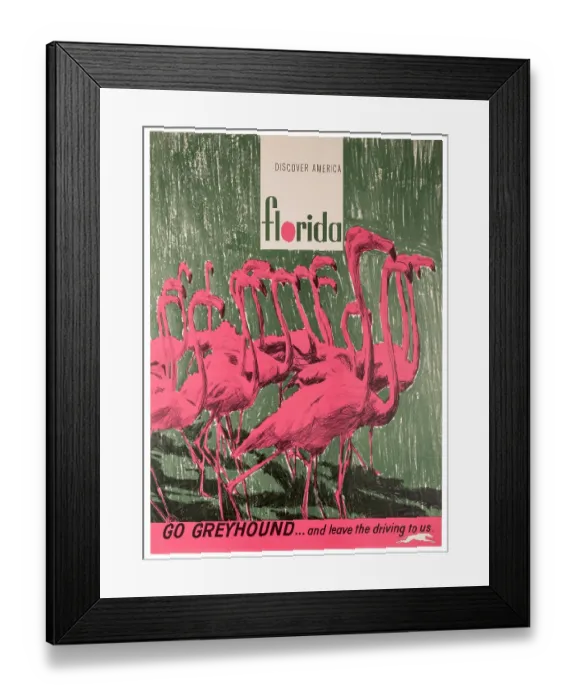 Framed Print : Go Greyound Florida Flamingos Framed Print : Go Greyound Florida Flamingos