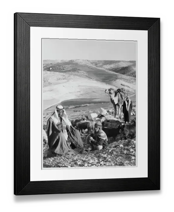 Framed Print : Shepherd's Field