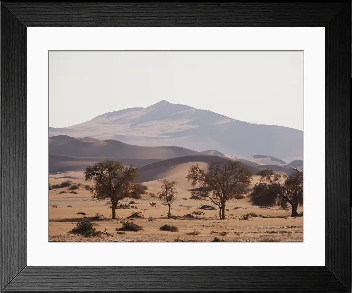Framed Print : Namibia. The sand dunes at Sossusvlei in The Namib-Naukluft national park Framed Print : Namibia. The sand dunes at Sossusvlei in The Namib-Naukluft national park
