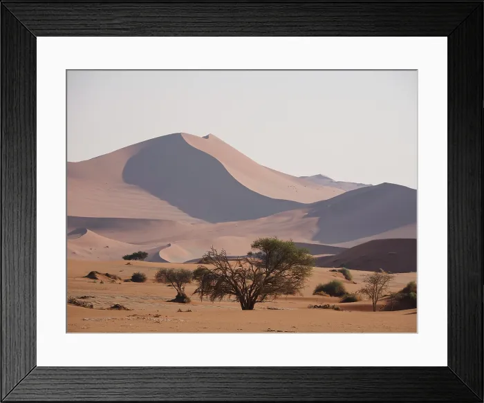 Framed Print : Namibia. The sand dunes at Sossusvlei in The Namib-Naukluft national park Framed Print : Namibia. The sand dunes at Sossusvlei in The Namib-Naukluft national park
