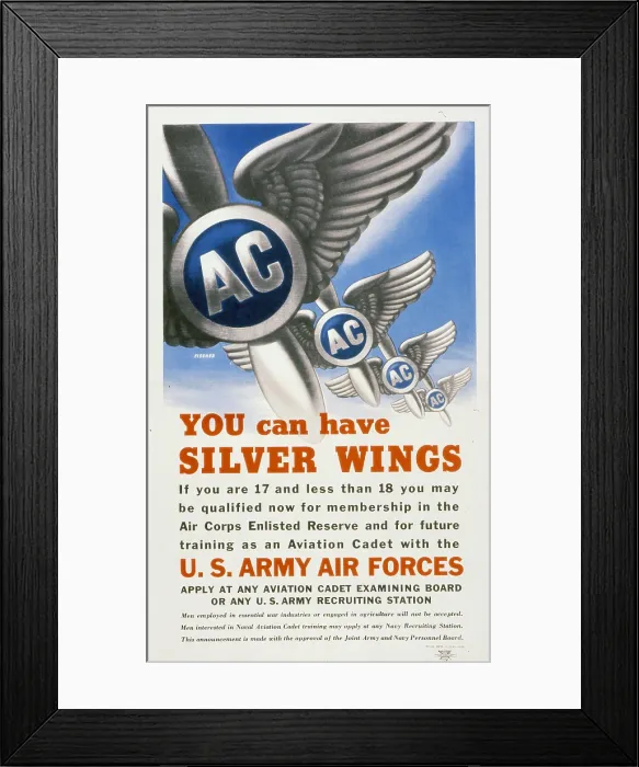 Framed Print : You Can Have Silver Wings Framed Print : You Can Have Silver Wings