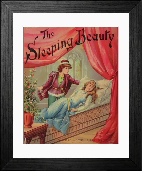 Framed Print : Cover Of The Sleeping Beauty