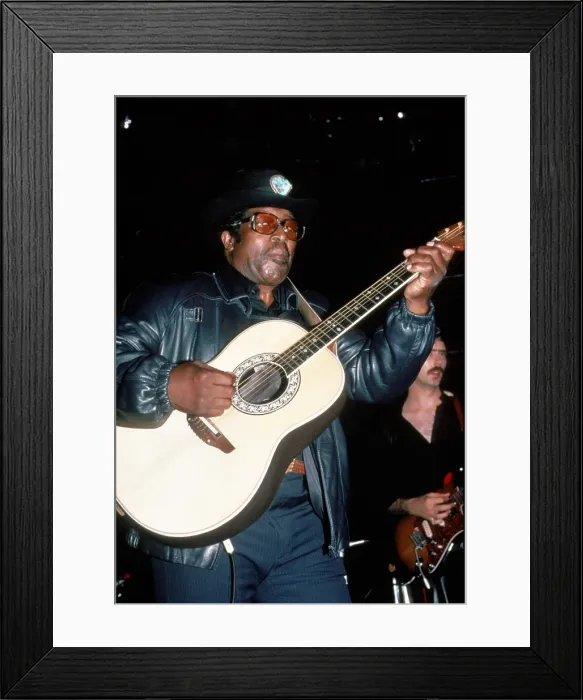 Framed Print : Bo Diddley in concert Framed Print : Bo Diddley in concert