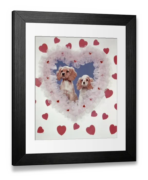 Framed Print : COCKER SPANIELS LOVE