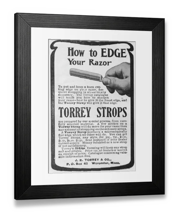 Framed Print : Torrey Strops Framed Print : Torrey Strops